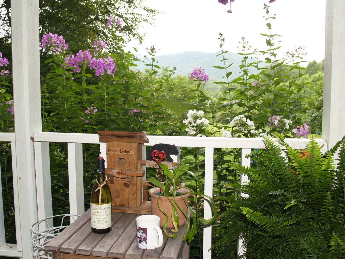 Henson Cove Place Bed And Breakfast W/Cabin ハイアワシー エクステリア 写真